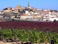 Briones